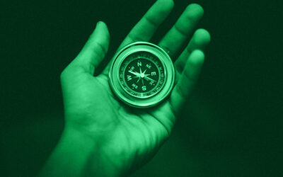 Nudging im Bereich der Gamification